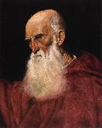 Follower of Jacopo da Ponte Portrait of a Cardinal oil on canvas